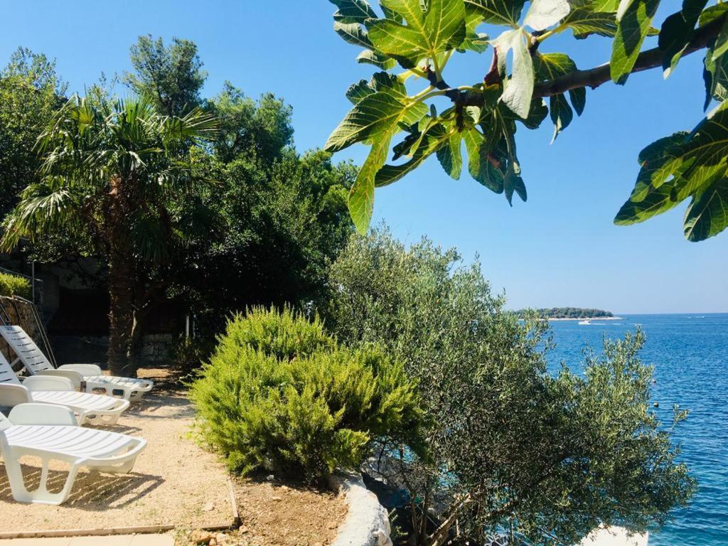 Premium Oaza Apartamento Primošten Exterior foto